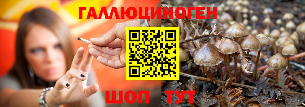 Галлюциногенные грибы ЛСД  Вход с VPN  Сальск 