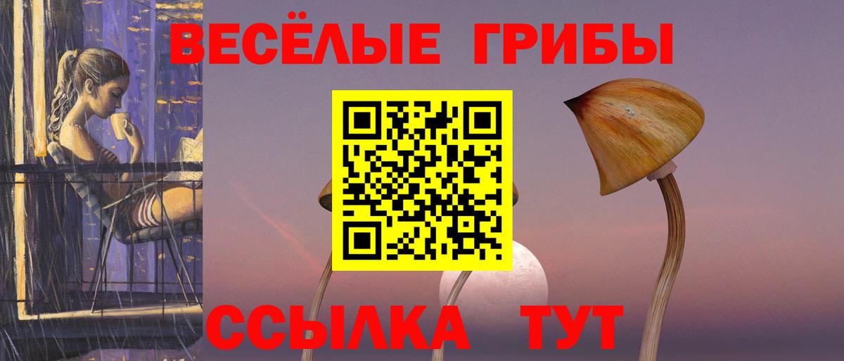 Псилоцибиновые грибы ЛСД Сальск